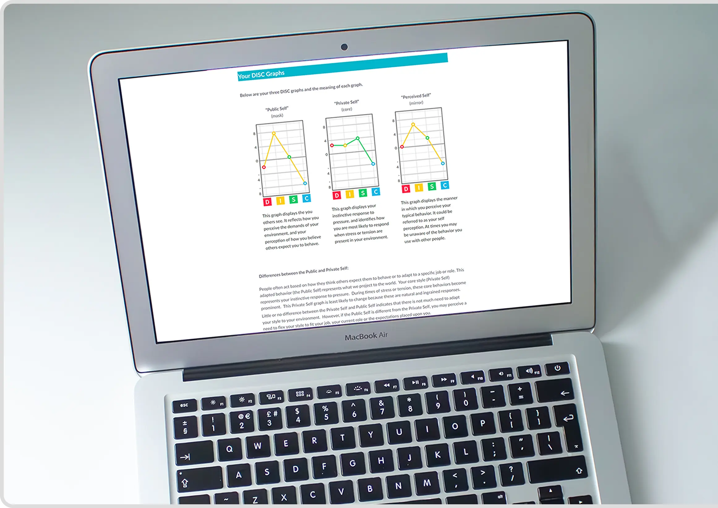 Level 2 DISC Accreditation